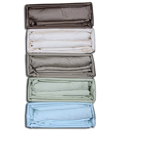 Egyptian Cotton Sheet Set 600TC Light Mint